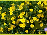 20190408_141541cutout-border