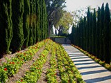 Akko Baha'i garden_2