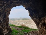 ARBEL (14)