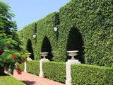 Baha'i gardens (36)