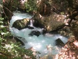 Banias (13)water