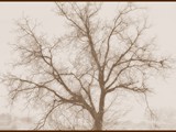 BANSKO (144)-sepia-frame