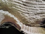 Beit Guvrin (34)