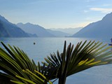 Brienz-010 (2)