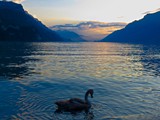 Brienz-047 (2)