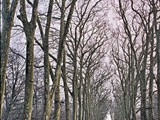 Chenonceau_23