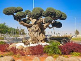 cinema city Beer Sheva (6)