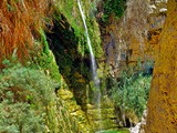 Ein Gedi-025