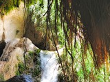 Ein Gedi-036