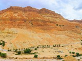 ein gedi (1)-1