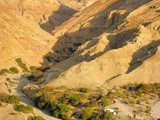 Ein Gedi_24