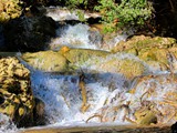 Farod waterfalls (42)