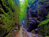 Flume Gorge, New Hampshire-007