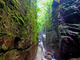 Flume Gorge, New Hampshire-008