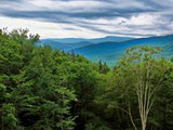 Flume Gorge, New Hampshire-020