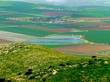 Gilboa forest_pan1