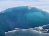 Jokulstarlon- iceberg lagoon  (58)