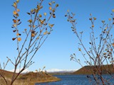 Myvatn lake (43)