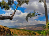 Nahal Ayun (115)border