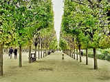 paris019L (2)