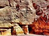 Red canyon (74)-1