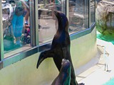 Sea world-024