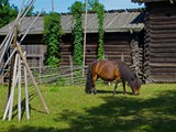 Skansen-080