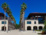 Stanford-031