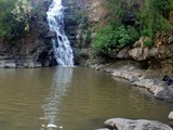 Yehudia-Upper Zavitan stream-086